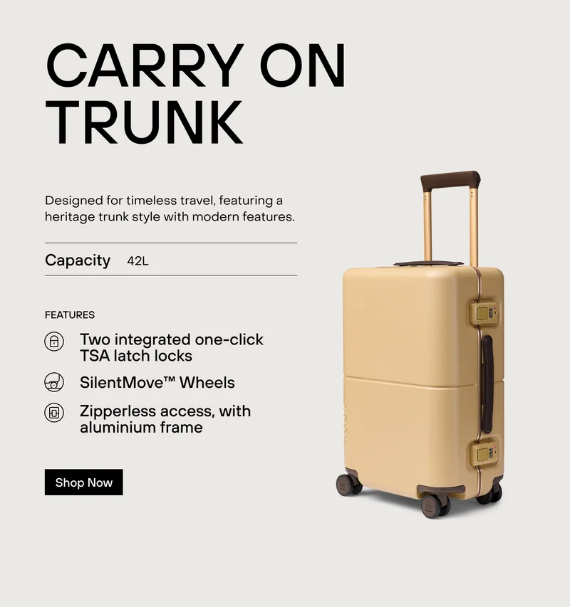 Carry On Trunk