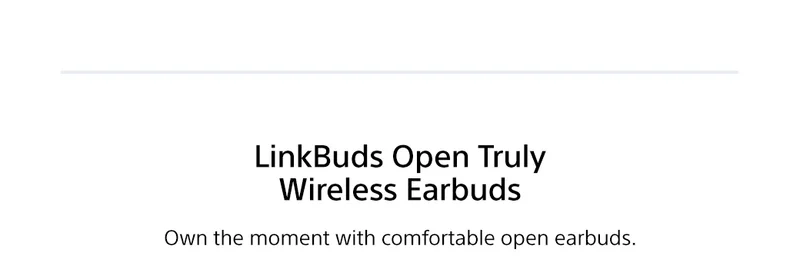 LinkBuds Open Truly Wireless Earbuds | Own the moment with comfortable open earbuds.
