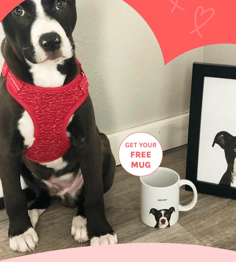 Free Mug