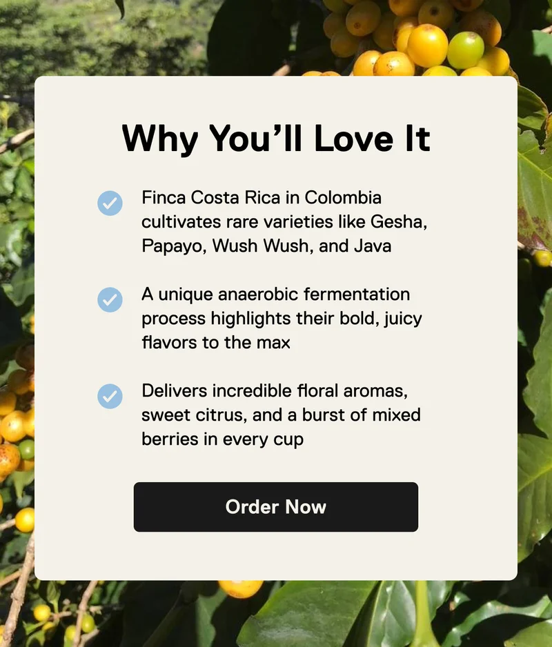 Why You’ll Love It: Mix of rare varieties like Gesha, Papayo, Wush Wush, and Java |  Anaerobically fermented to bring out max flavor | A sweet cut with lots of floral aromas, citrus, and mixed berries. Order Now