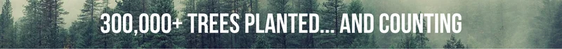 300,000+ trees planted... and counting