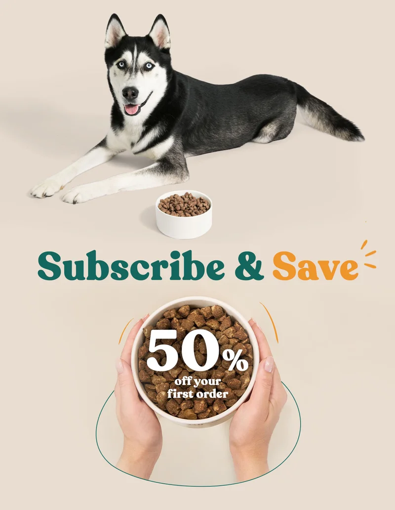 A Thanksgiving Meal Worth Barking About!