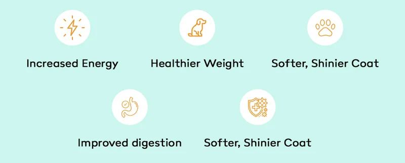 Raw fed pups are healthier