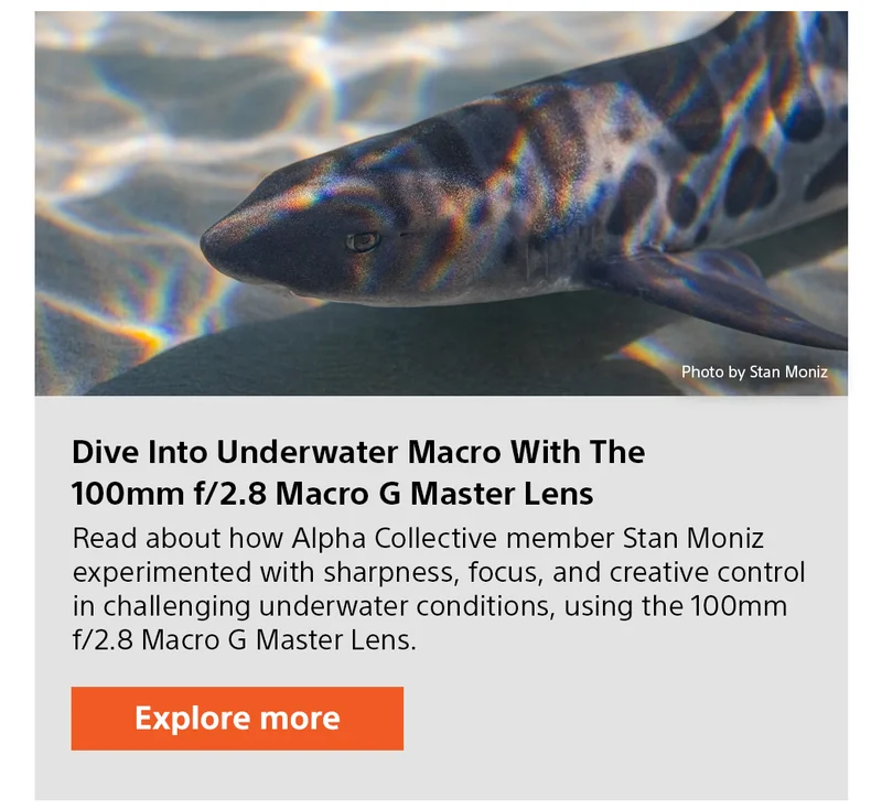 Dive Into Underwater Macro With The 100mm f/2.8 Macro G Master Lens | Explore more