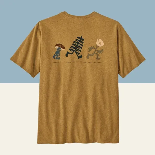 Four Patagonia t-shirts with different graphics.