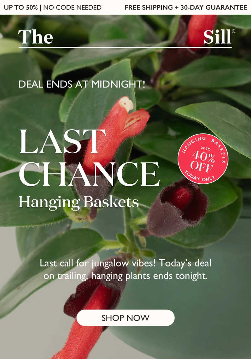 Today's Deal of the Day Ends at Midnight!