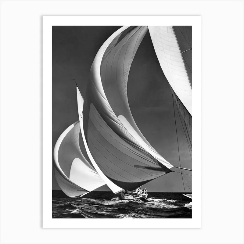 Image of Spinakers On Racing Sailboats Art Print