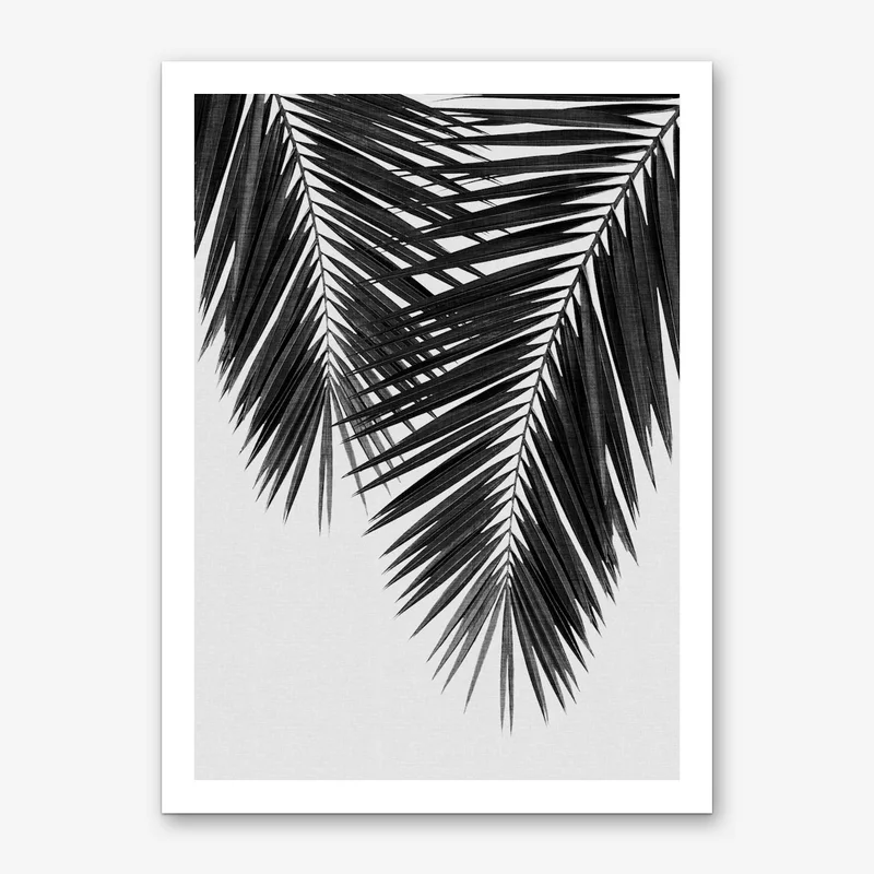 Image of Palm Leaf Black & White II Art Print