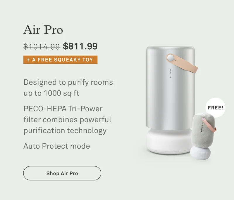 Air Pro