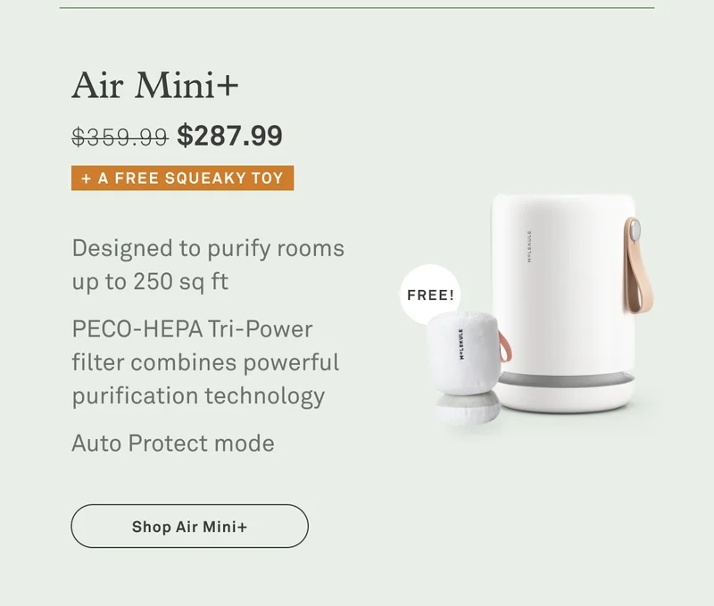 Air Mini+