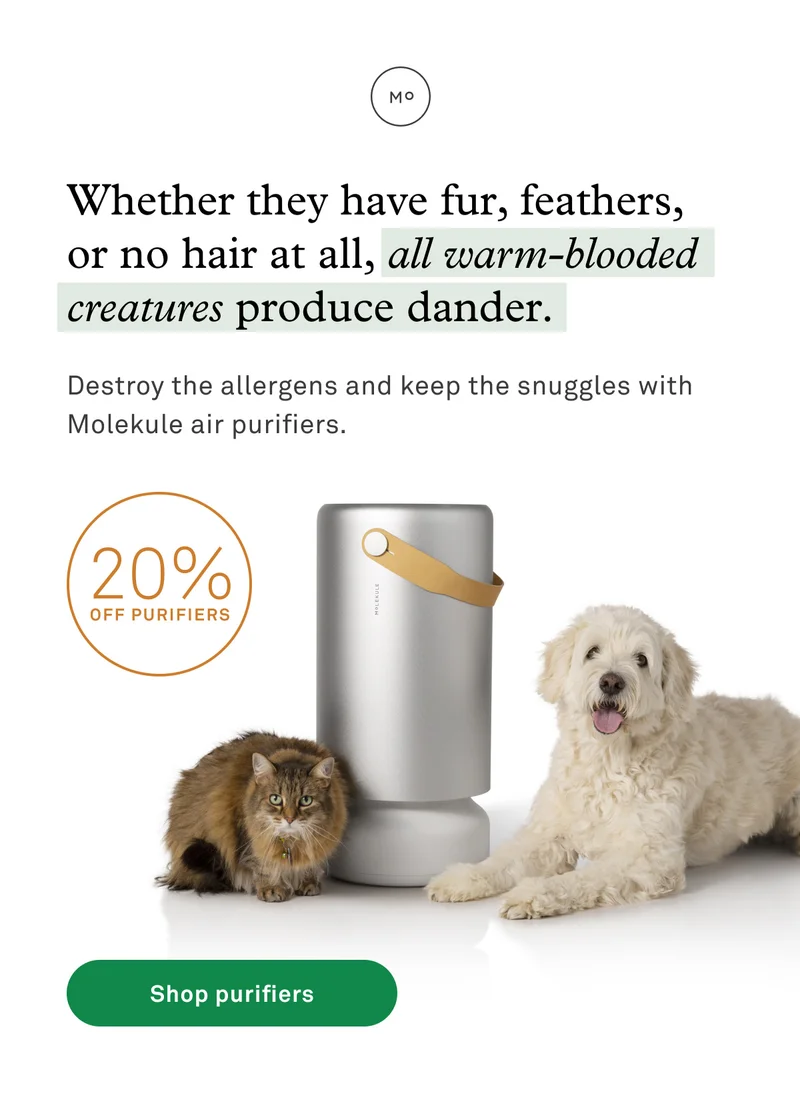 Take 20% off air purifiers