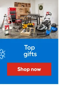 Top gifts