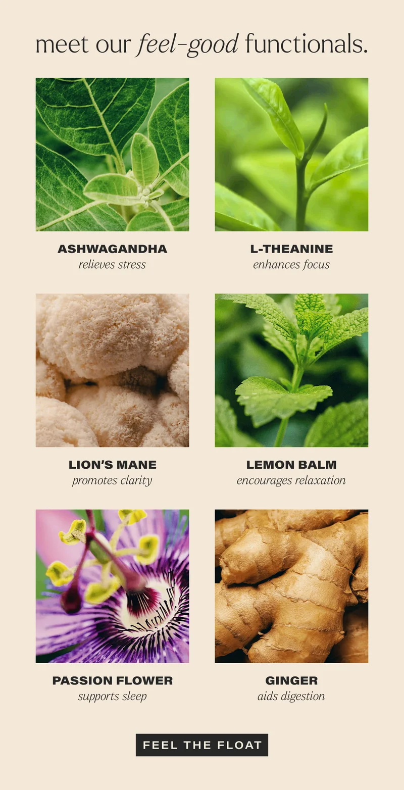 meet our feel-good functionals. | ASHWAGANDHA | relieves stress | L-THEANINE | enhances focus | LION’S MANE | promotes clarity | LEMON BALM | encourages relaxation | PASSION FLOWER | supports sleep | GINGER | aids digestion | [ FEEL THE FLOAT ]