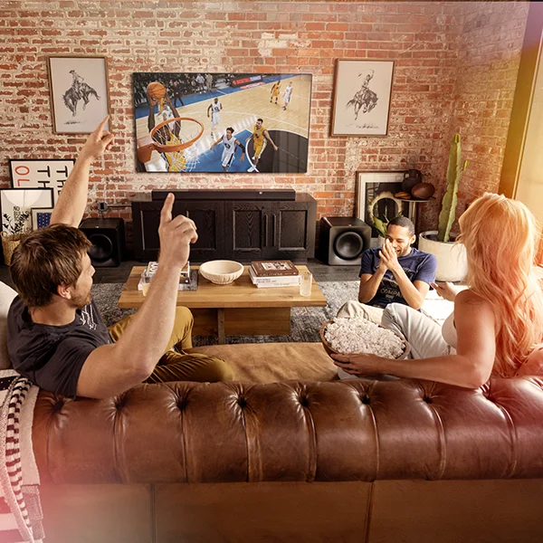 Flexus lifestyle with basketball on TV