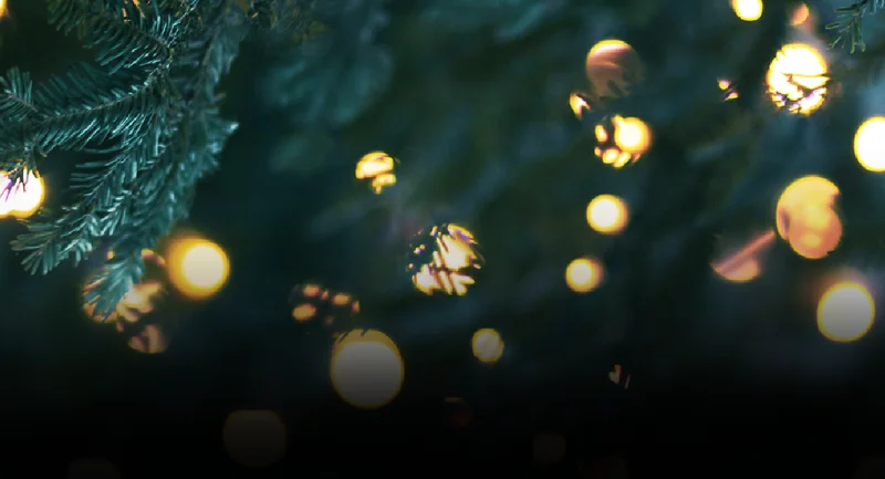 email_header_holiday_medium