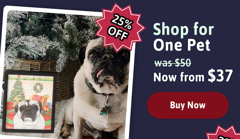 Shop for One Pet. Was $50. Now from $37. Shop 25% Off Now.