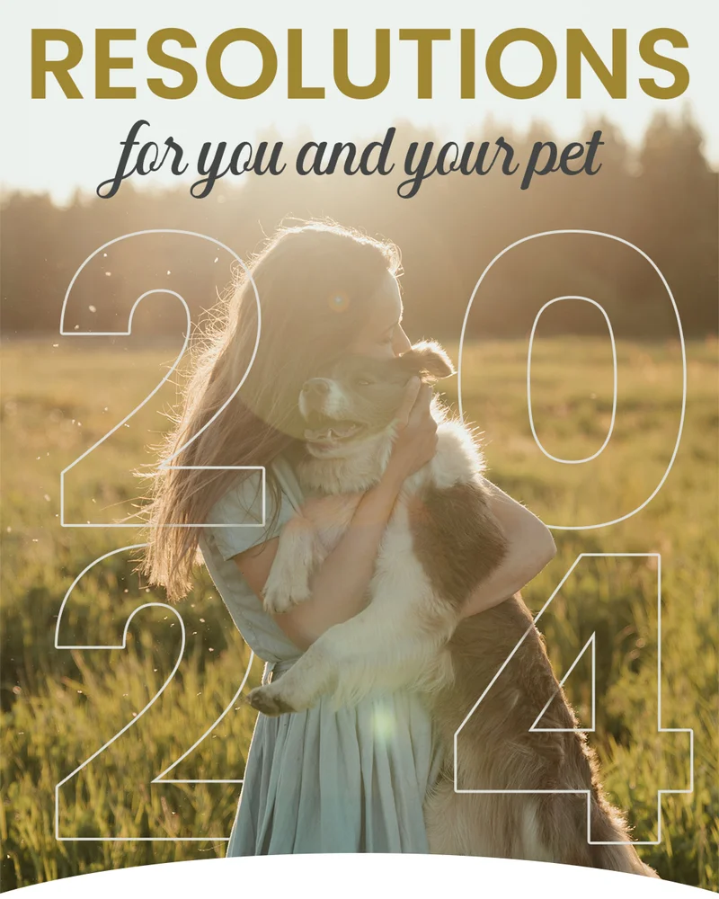 Resolutions for you and your pet