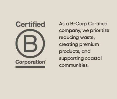Our Company