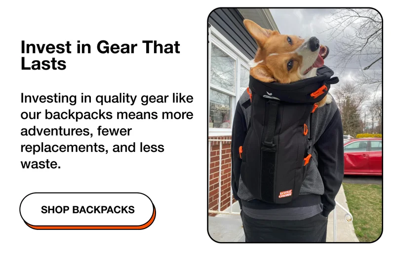 Invest in good gear