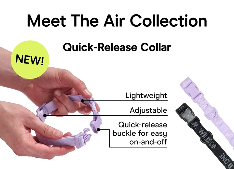 Meet The Air Collection NEW! Quick-Release Collar Lightweight Adjustable