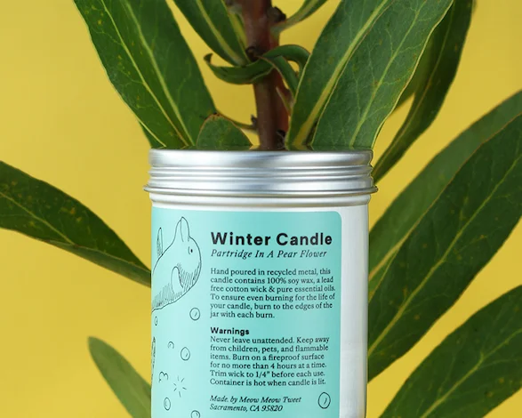 A blue-labeled metal candle jar sitting in front of a green plant frond.
