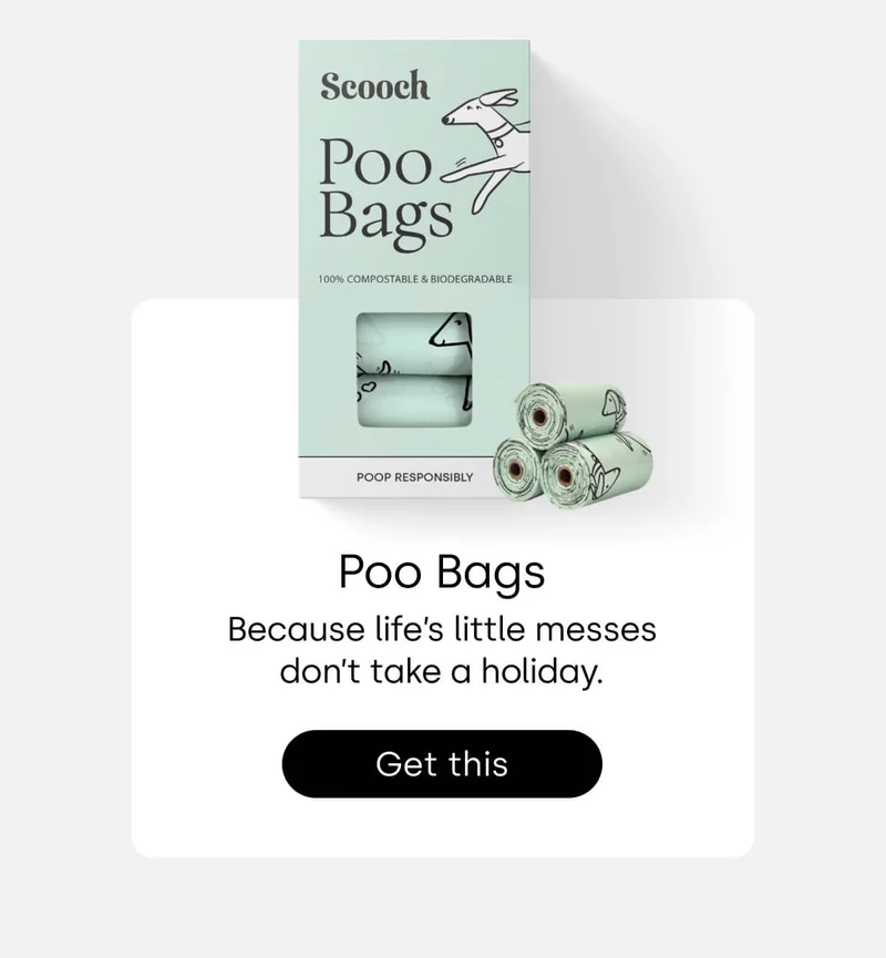 Gifts your pup can never have too many of... - Shop Poo Bags