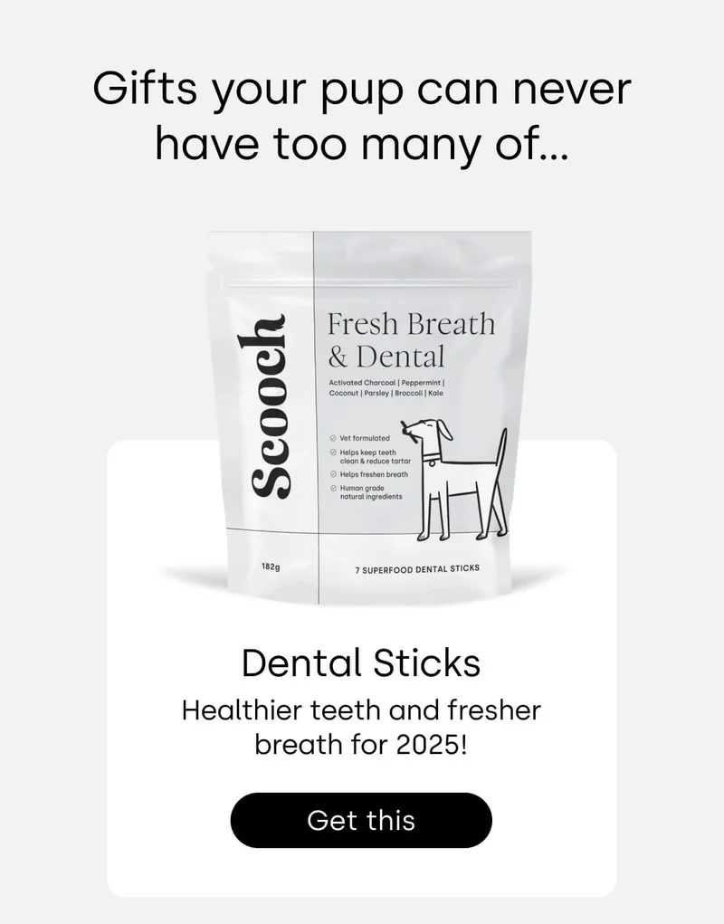 Gifts your pup can never have too many of... - Shop Dental Sticks