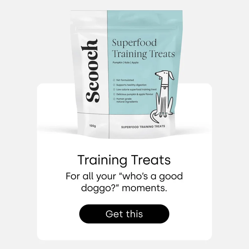 Gifts your pup can never have too many of... - Shop Training Treats