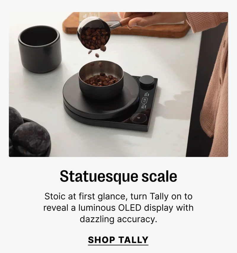 Statuesque scale Stoic at first glance, turn Tally on to reveal a luminous OLED display with dazzling accuracy. shop tally