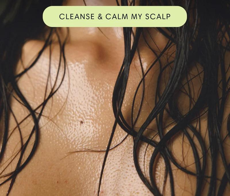 CLEANSE & CALM MY SCALP