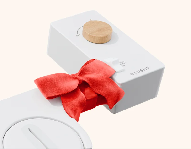 IMAGE OF BIDET