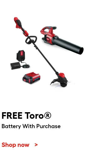 Display images to show real-time content