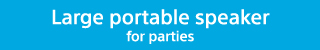 Large portable speaker for parties