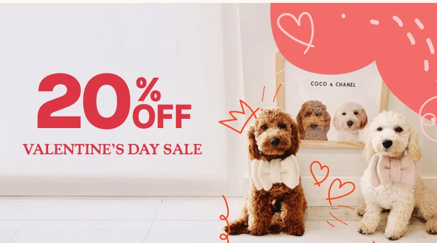 20% Off