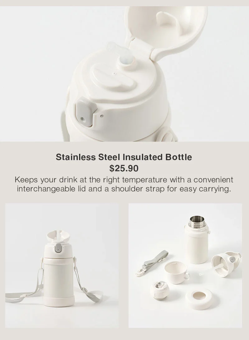 Shop Stainless Steel Insulated Bottle