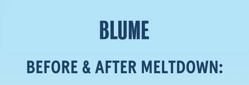 BLUME: Before & after Meltdown: