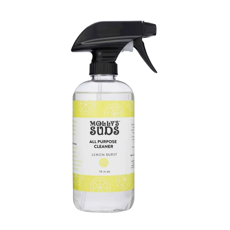 All Purpose Spray, Citrus Burst, 16 Fl Oz