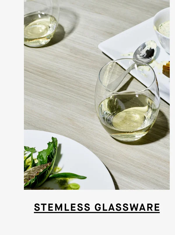 STEMLESS WINE GLASS