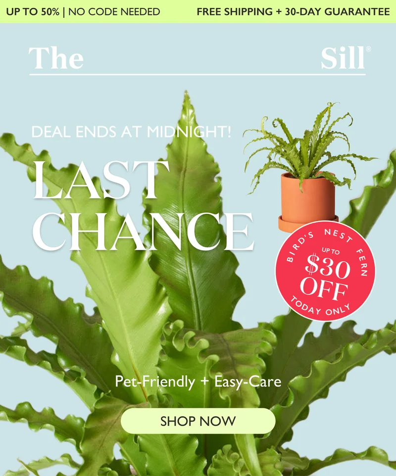 Today's Deal of the Day Ends at Midnight!