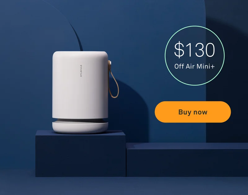 Air Mini+