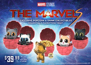THE MARVELS CCV