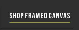 Shop Framed Canvas