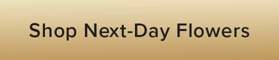 Shop Next-Day