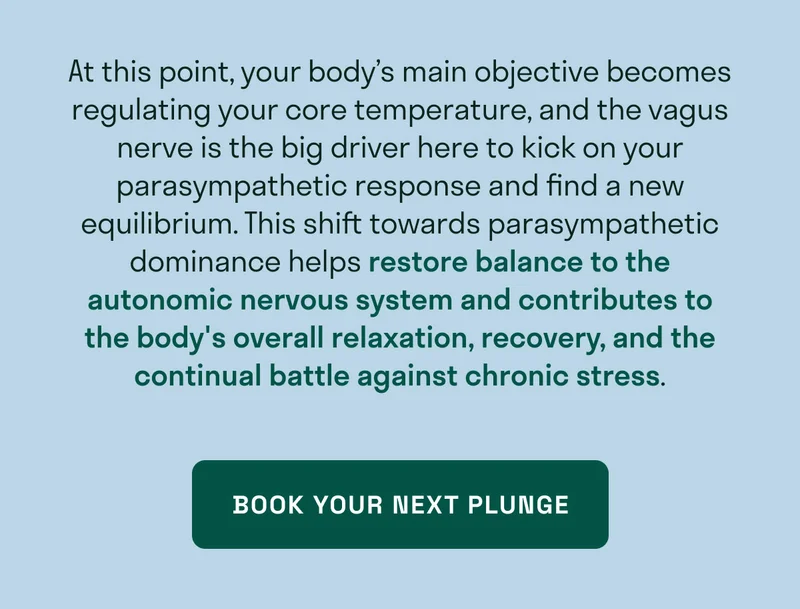 At this point, your body’s main objective becomes regulating your core temperature, and the vagus nerve is the big driver here to kick on your parasympathetic response and find a new equilibrium. This shift towards parasympathetic dominance helps restore balance to the autonomic nervous system and contributes to the body's overall relaxation, recovery, and the continual battle against chronic stress.