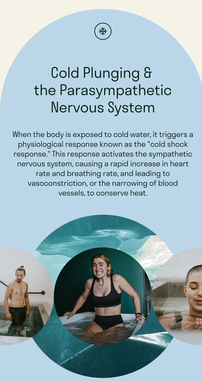 When the body is exposed to cold water, it triggers a physiological response known as the "cold shock response." This response activates the sympathetic nervous system, causing a rapid increase in heart rate and breathing rate, and leading to vasoconstriction, or the narrowing of blood vessels, to conserve heat.