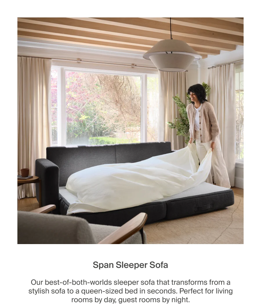 Span Sleeper Sofa