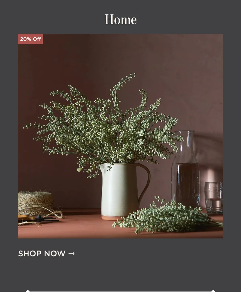 Shop Home