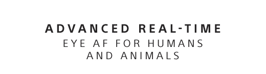 ADVANCED REAL-TIME EYE AF FOR HUMANS AND ANIMALS