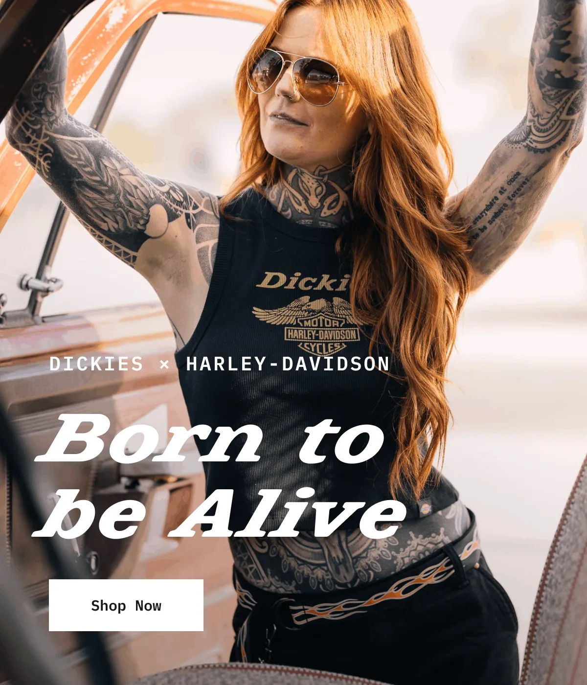 Dickies + Harley-Davidson. Born to be Alive. Shop Now.