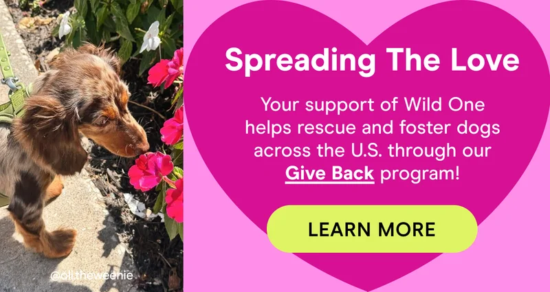 Your support of Wild One helps rescue and foster dogs across the U.S. through our Give Back program!